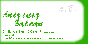 aniziusz balean business card